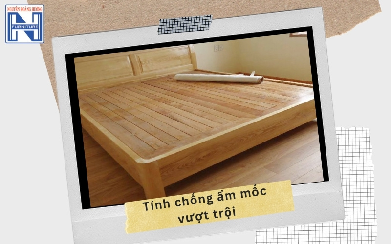 Giá giường gỗ sồi 1m6