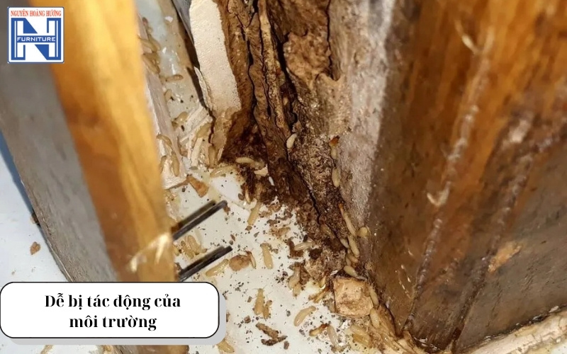 Mẫu chân bàn gỗ đẹp