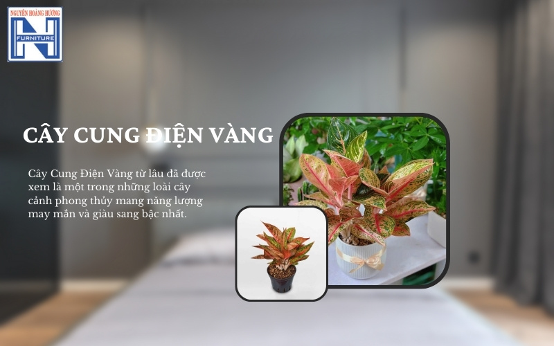 Mệnh Thủy hợp cây gì để bàn làm việc