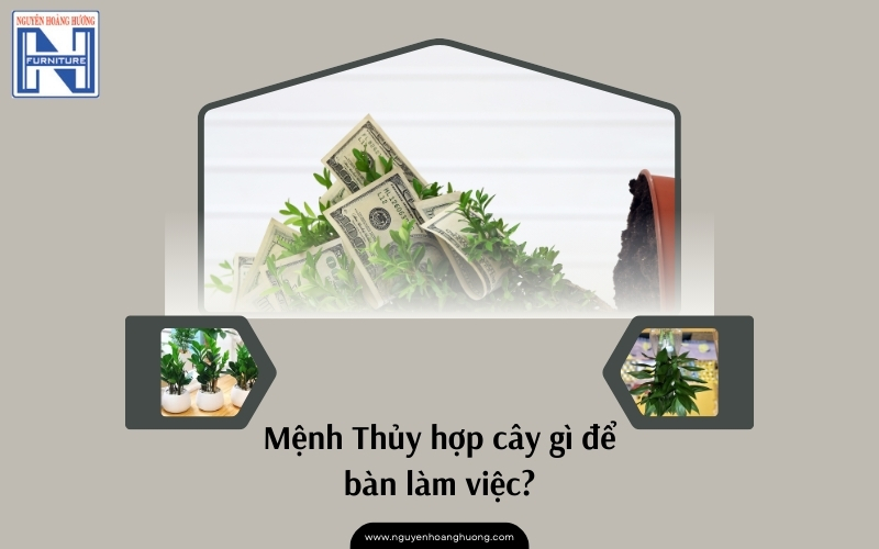 Mệnh Thủy hợp cây gì để bàn làm việc