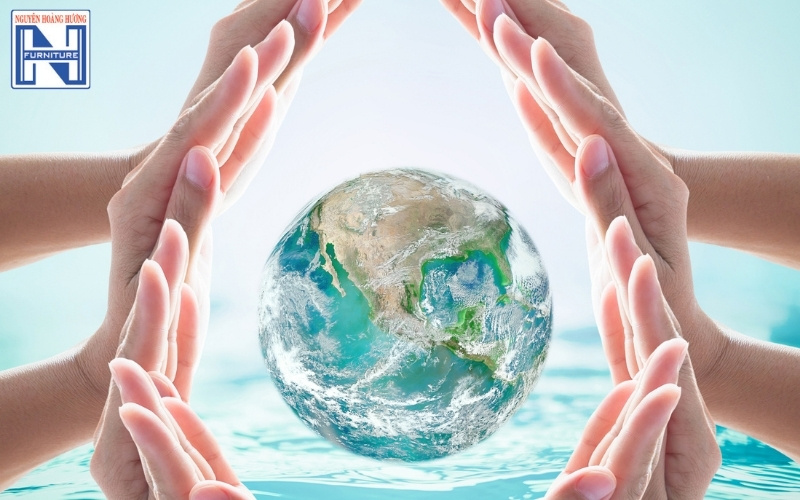 Mệnh Thủy hợp cây gì để bàn làm việc