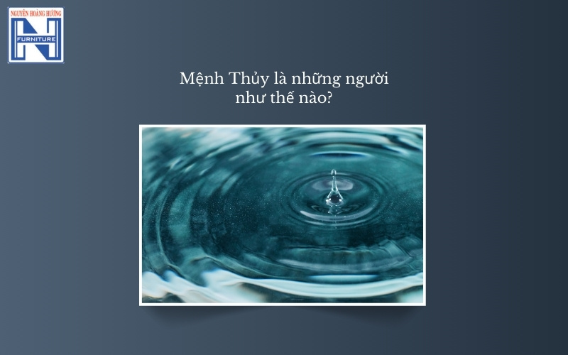 Mệnh Thủy hợp cây gì để bàn làm việc