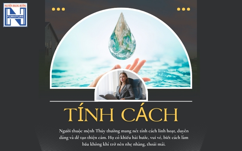 Mệnh Thủy hợp cây gì để bàn làm việc