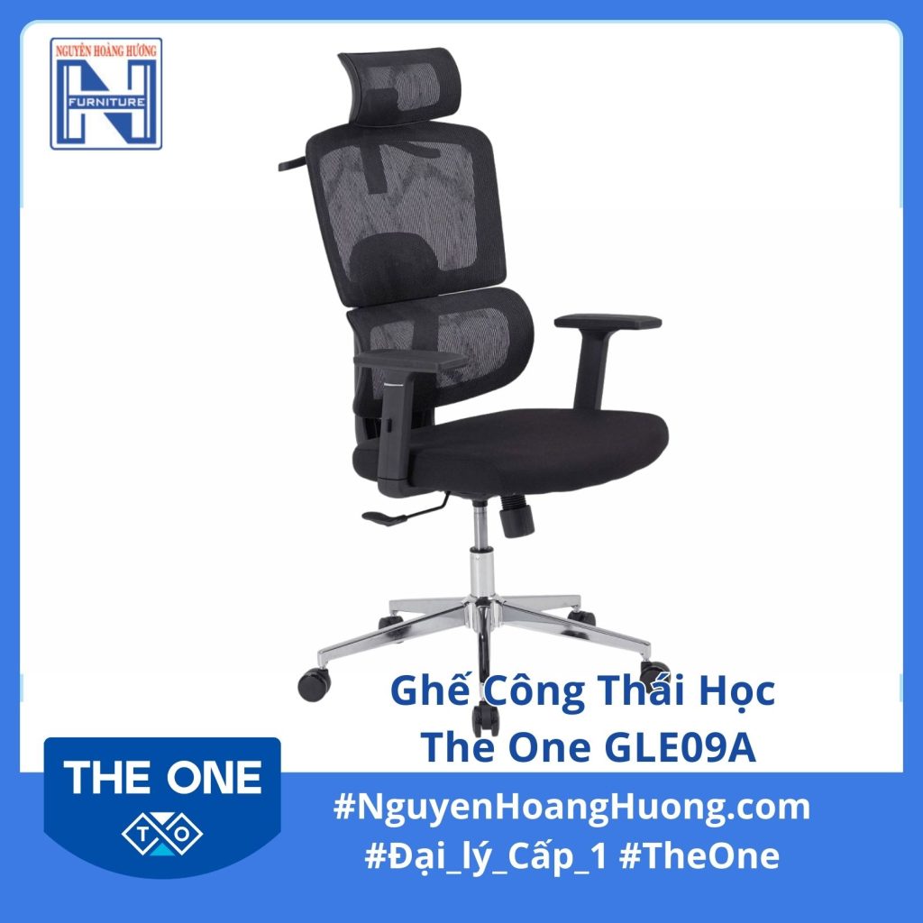 Ghế Công Thái Học The One GLE09A